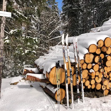 Wiezyczki Świeradów-Zdrój