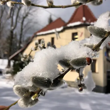 Wiezyczki *