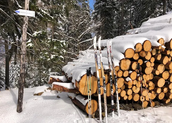 Wiezyczki Świeradów-Zdrój